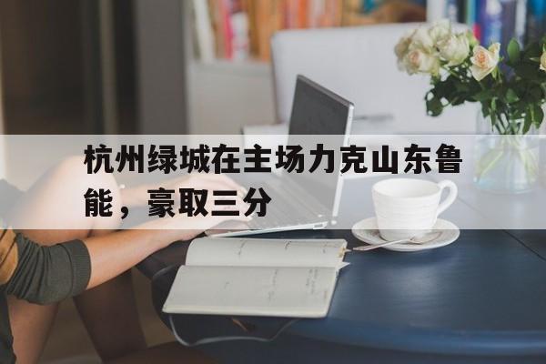 杭州绿城在主场力克山东鲁能，豪取三分的简单介绍
